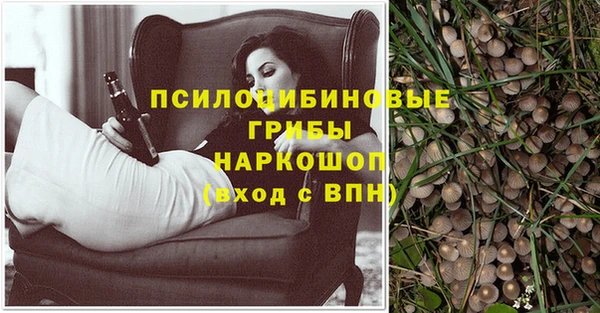 трава Бугульма