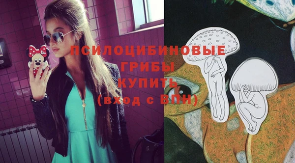 мяу мяу мука Бородино