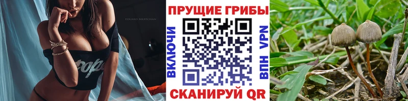 Галлюциногенные грибы прущие грибы  Котельники 
